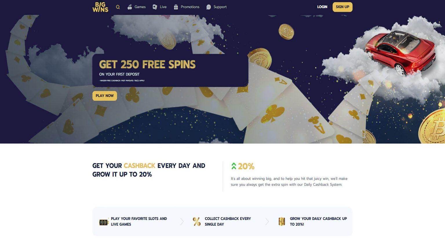 BigWins Online Casino Evaluation